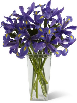 Iris Riches Bouquet